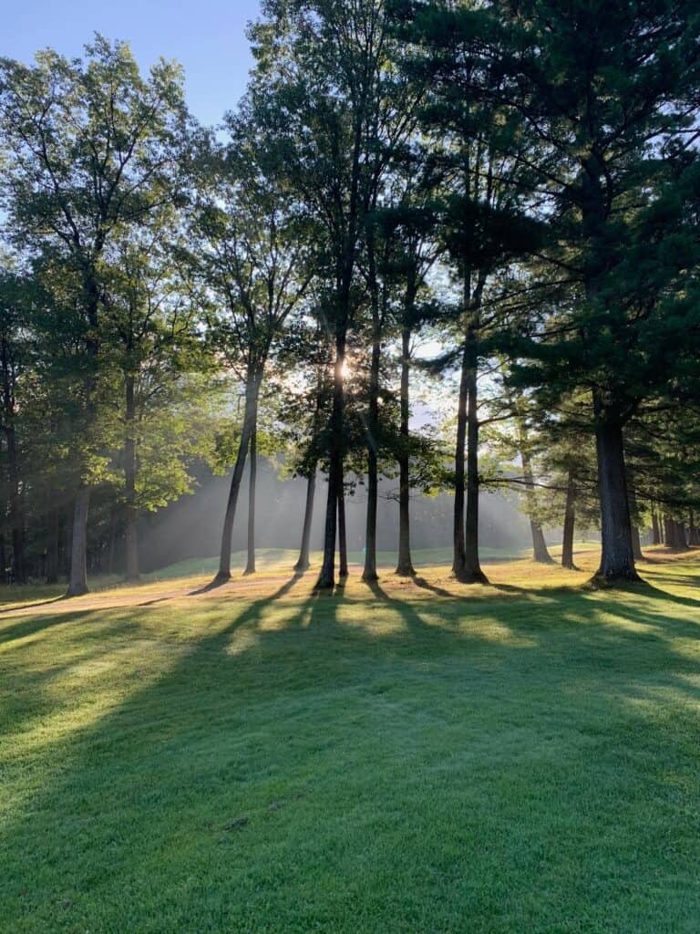 MGCC 18th Through the Trees