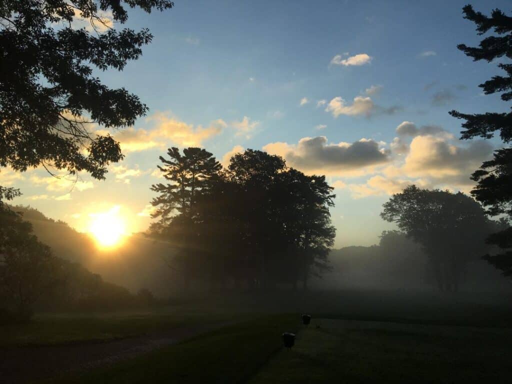 MGCC Misty Morning